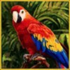 Символ Aztec Glory - Попугай
