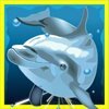 Символ Dolphins Pearl - Дельфин (wild)