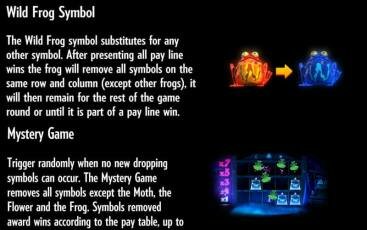 Бонусная игра игрового аппарата Frog Grog