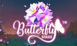 Butterfly Staxx / Бабочки
