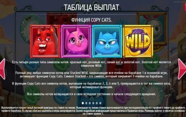 Бонусная игра игрового аппарата Copy Cats