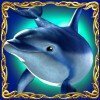 Символ Dolphins Pearl Deluxe - Дельфин (wild)
