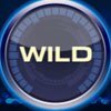 Символ Drive - Wild