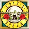 Символ Guns N Roses - Wild
