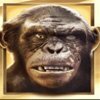 Символ Planet of the Apes - Коба Rise