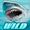 Символ Wild Water - Акула (wild)