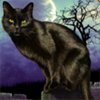 Символ Witches Charm - Кошка